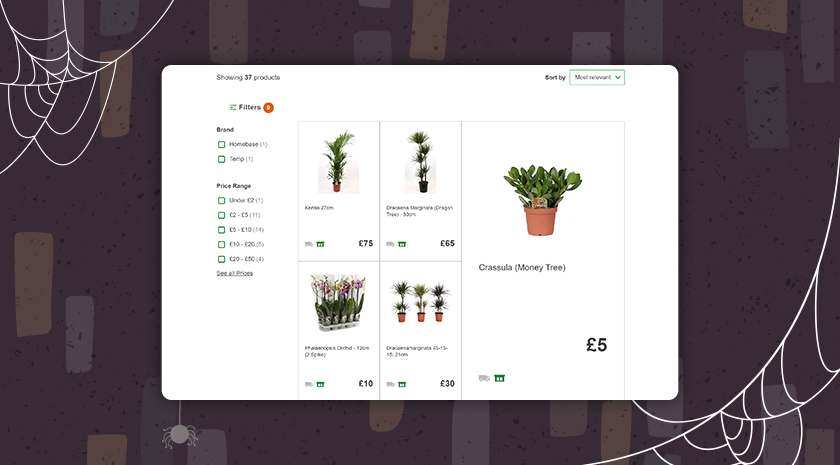 This online shop only features two filters (brand and price) for it's houseplant category, making it difficult to narrow down results.